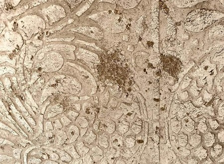 Novacolor  Archi+ Pietra egy ásványi vakolat