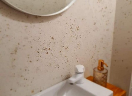 Novacolor  Archi+ Pietra egy ásványi vakolat